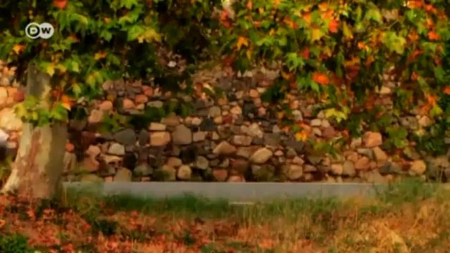 Im Blick: Tokyo Motor Show und LA Auto Show 2013 | Motor mobil