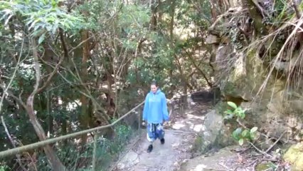 Giant Stairways arrivée