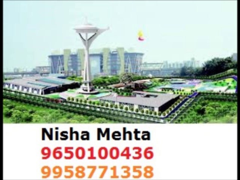 Nisha Mehta 9650100436 Appu Ghar Nec| The AppuGhar Gurgaon