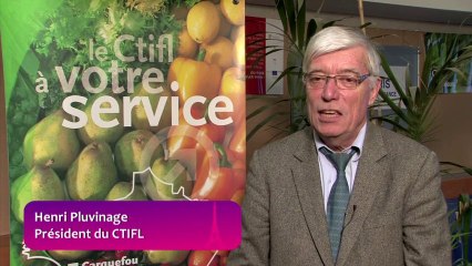 Concours d'étalages de fruits et légumes 2013 organisé par le CTIFL