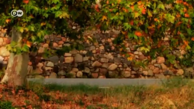 Examine it! The 2013 Tokyo and LA Auto Shows | Drive it!