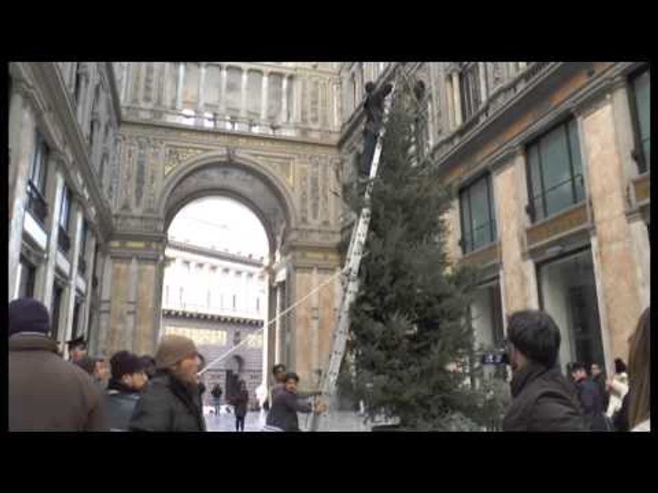 Napoli - Rubato e ritrovato in tempi record l'albero della Galleria -1- (26.11.13)