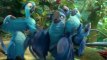 Rio 2 : Bande-annonce [Officielle] VF HD