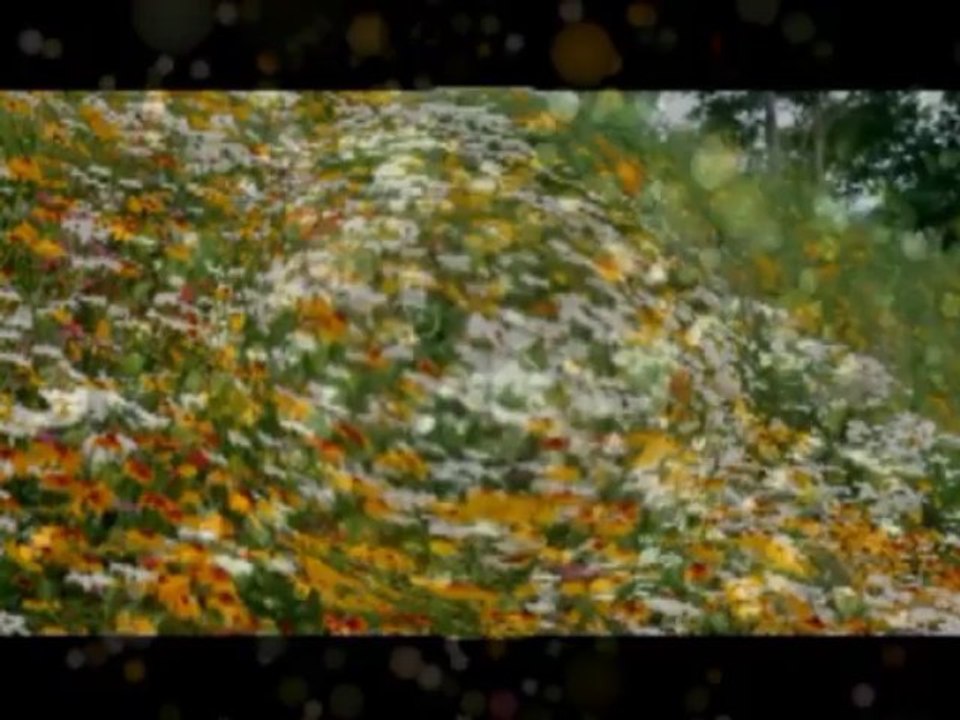 Să știi,măicuța mea-Dan Spătaru