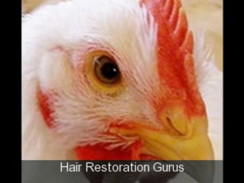 hair restoration - how to stop hair fall - hair regrowth products