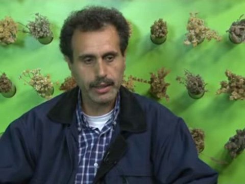 Sertleşme Erken Boşalma İsteksizlik Sorunu Vardı