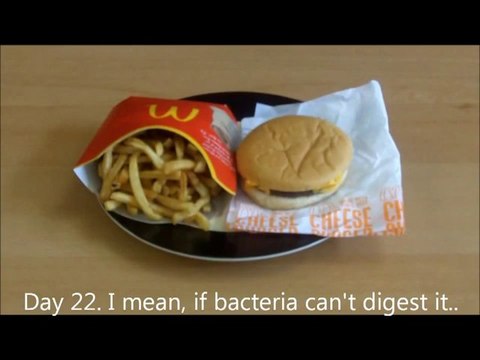 Die 31 Tage McDonalds Burger Experiment