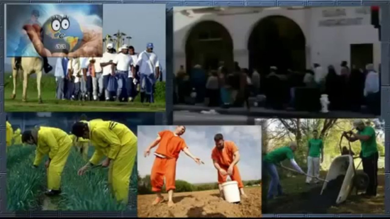 Der NWO Plan Schachmatt für die Menschheit