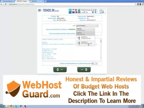 Minecraft Hosting u Hostuju.eu Ukázka