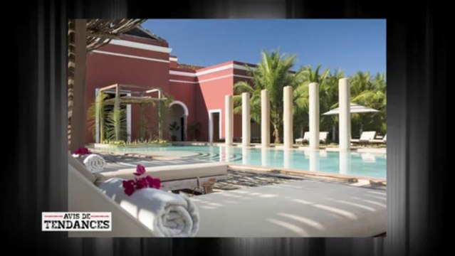 Coups de Coeur / Coup de Griffe - 15 octobre