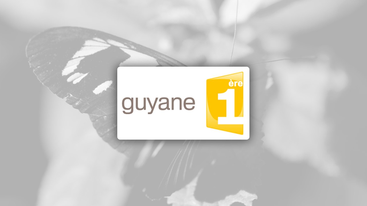 JT Guyane 1 "la minute de la jungle"