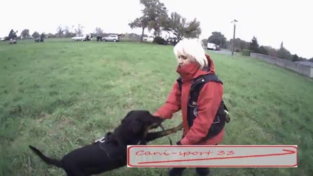 RECHERCHE UTILITAIRE avec un beauceron