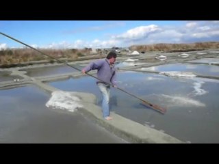 Harvesting salt - Guérande - France