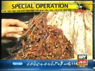 Jurm Bolta Hai - 27 Nov 2013