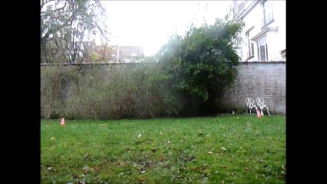 GTCSS le Destromanien fonce à 4 pattes à 15 km h sur 6 mètres soit aussi vite qu'un humain debout de 9 ans!!