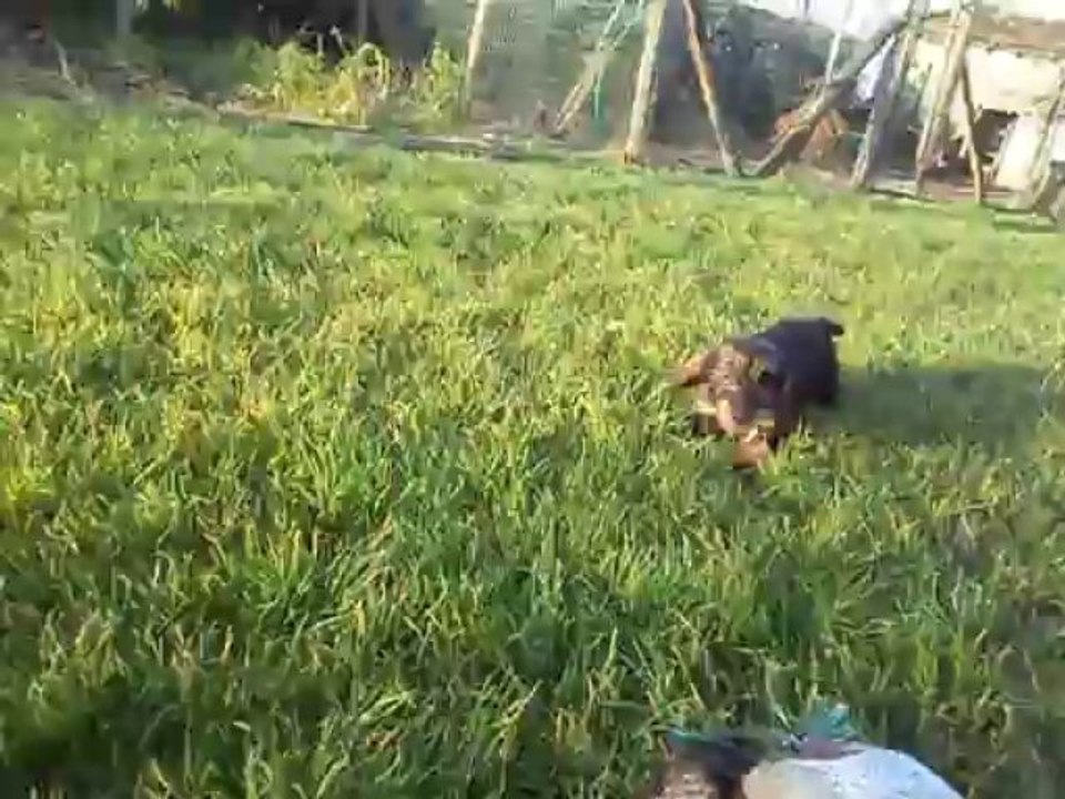MOV05602