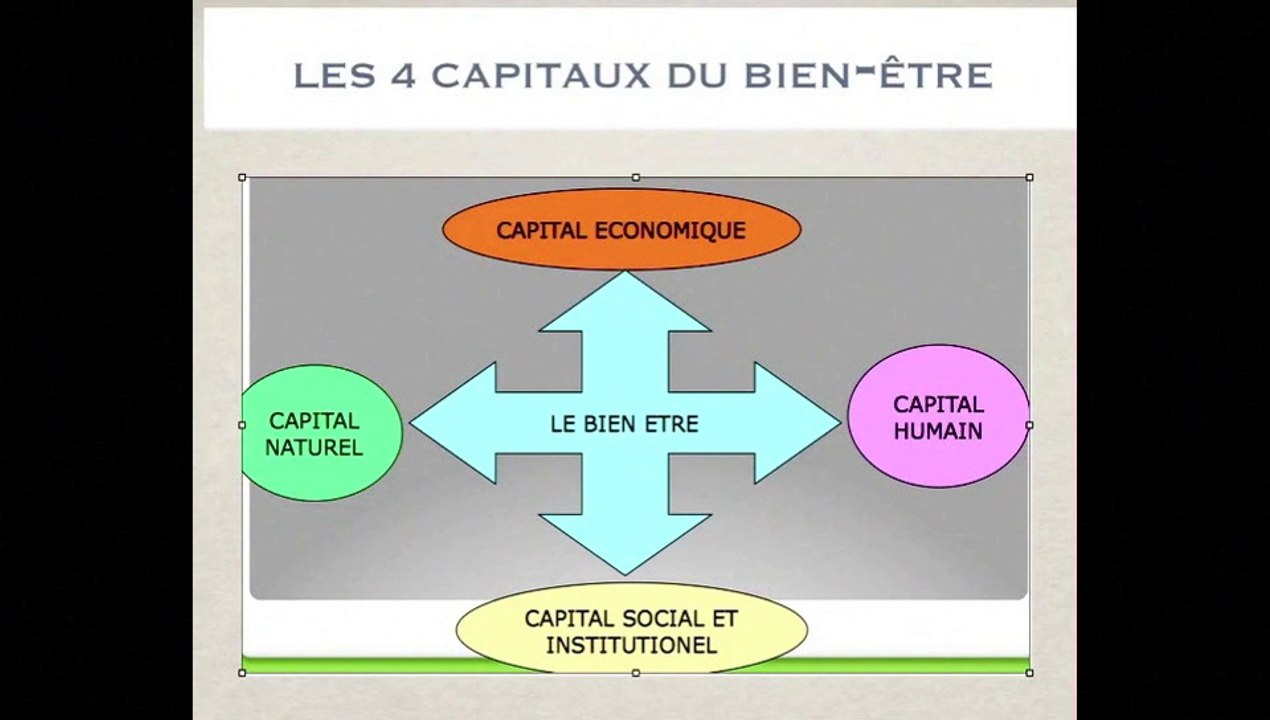 LES 4 CAPITAUX DU BIEN ÊTRE