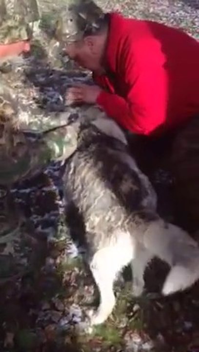 Des Chasseurs sauvent un Chien tombé dans un lac gelé.
