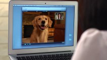 Webcam pour chien et chat - Petchatz - Complètement fou!