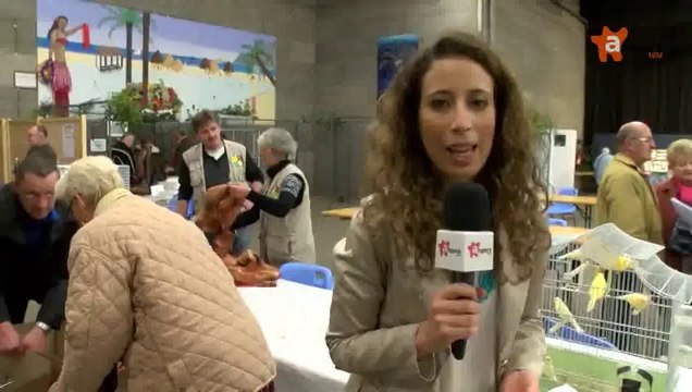 PAROLES D'ASSOS 2EME SEMESTRE [S.2] [E.13] - Paroles d'Assos du 27/11 - l'Ami des Oiseaux de Compagnie