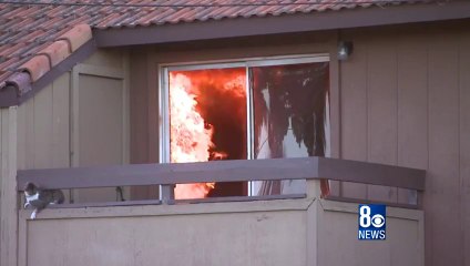 Cat Jumps From Burning Building