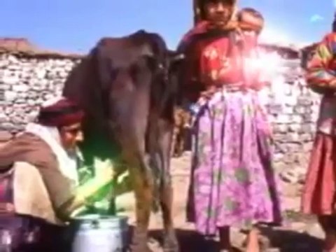 Gönül Ulutaş - Zozan Zozan _ Berbu _ gonululutas.com _ 2011