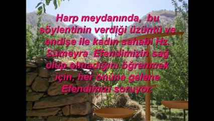 Sevgi Dediğin Böyle Olur