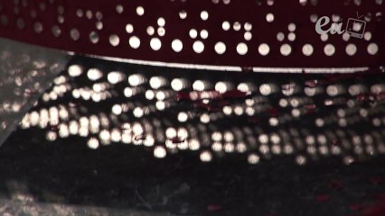 Exposition Fraise et framboise - Dominique De Beir & Sylvie Houriez à la chapelle du Collège d'Eu