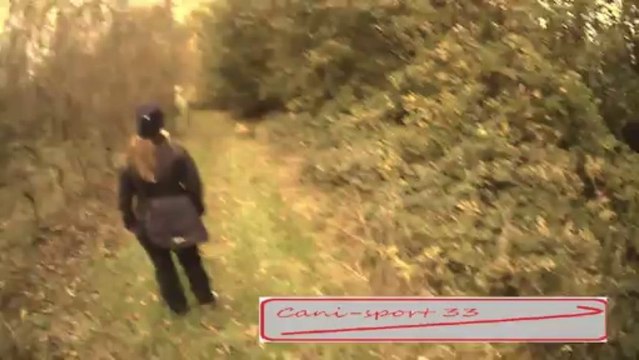 recherche utilitaire en niveau brevet avec un sharpeï