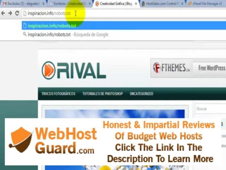 Subir al hosting y modificar Robots.txt