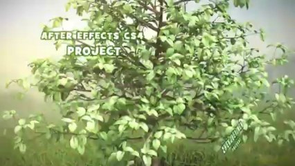 Tree Grow Openers - After Effects Template