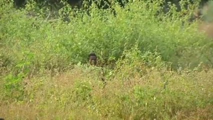 Living in fear in the Central African Republic