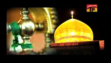 AUN DI MAA, Mir Hassan Mir 2013 14