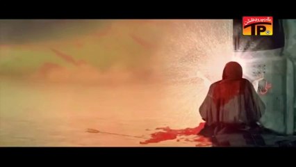 HAYE ALI HAYE HUSAIN, Mir Hassan Mir 2013 14