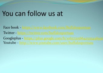 How to choose a perfect cricket bat -