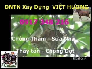 Tho chong tham nha ve sinh quan 7 -kova /// 0917 348216