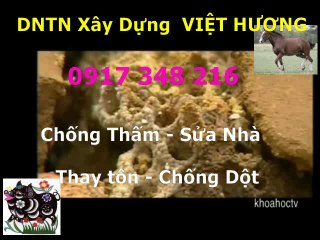 Tho chong tham nha ve sinh quan 8 -kova /// 0917 348216