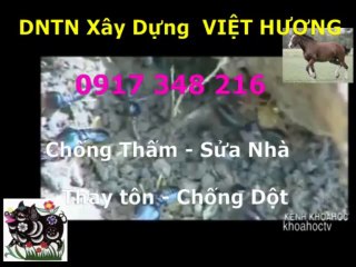 Tho chong tham nha ve sinh quan 8 -kova / 0917 348216