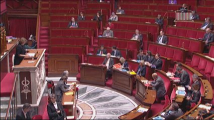 LOI DE PROGRAMMATION MILITAIRE 2014-2019 - Mardi 26 Novembre 2013