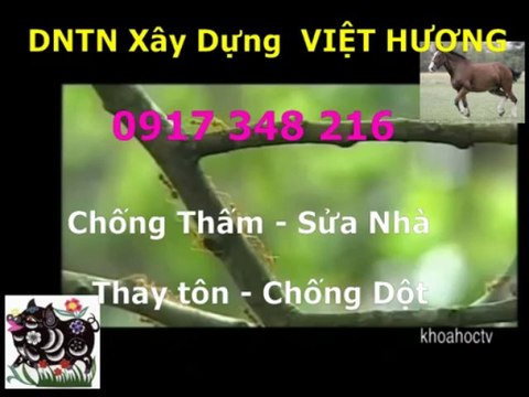 Tho chong tham nha ve sinh quan 9 -kova // 0917 348216