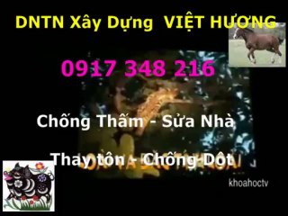Tho chong tham nha ve sinh quan 9 -kova /// 0917 348216