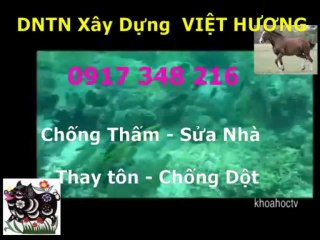 Tho chong tham nha ve sinh quan 10 -kova //// 0917 348216