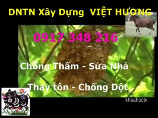 Tho chong tham nha ve sinh quan 10 -kova // 0917 348216
