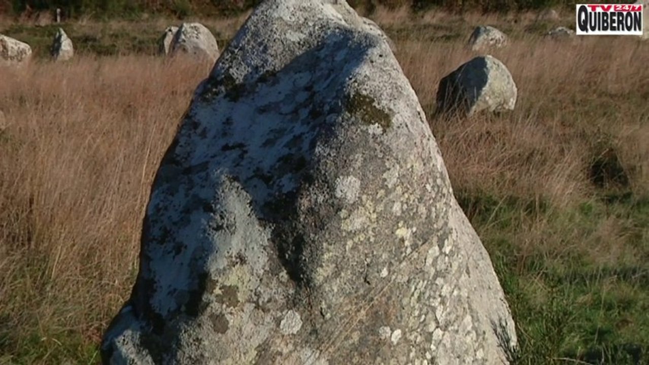 Carnac    |   Les Menhirs en automne - Carnac Télé