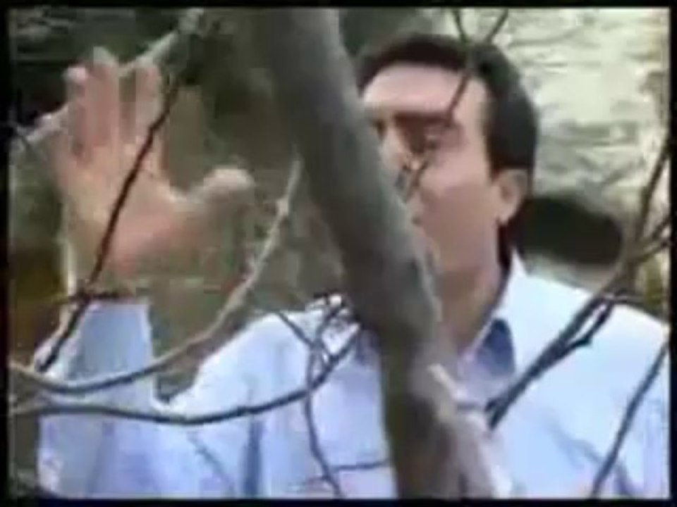 Sefa Güneş