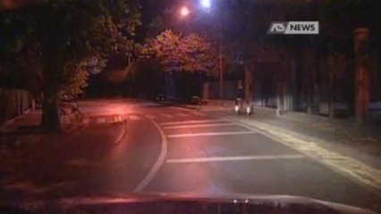 LUCCIOLE FANNO ARRESTARE GLI SFRUTTATORI