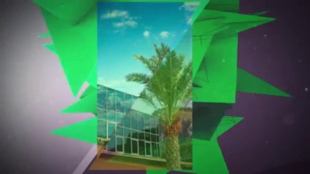 Tint On Wheels (956) 682-2915