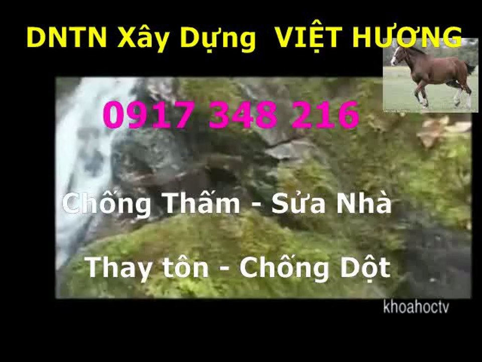 Tho chong tham nha ve sinh quan go vap -kova // 0917 348216
