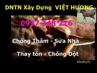 chong tham nha ve sinh quan binh thanh -kova //// 0917 348216