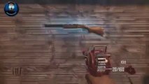 Black ops 2 Zombies Everything FREE Glitch (Gold Camo) pro perks.......(PATCHED)